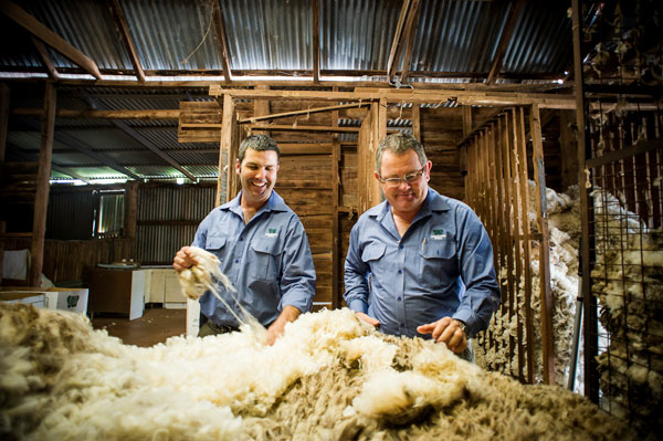 Jemalong Wool offers superior wool handling and marketing