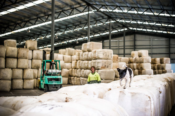 On the floor at Jemalong Wool in Cooma