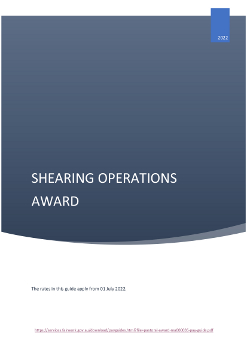 Shearing Award 2022 (PDF)